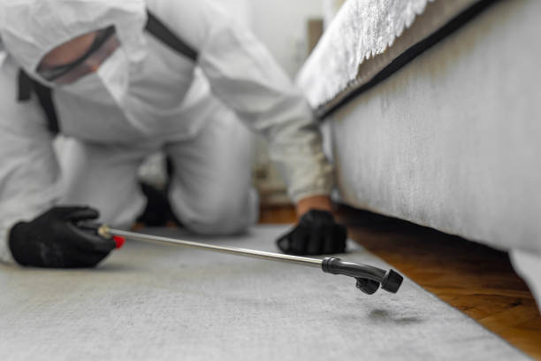 Professional Bed Bug Control technician working in Duncan Falls, OH