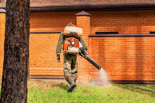 Trusted Ant Control service in Duncan Falls, OH - Nex Pest Control